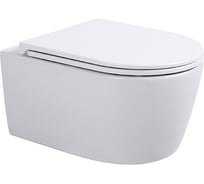 Подвесной унитаз Sintesi безободковый DANTE с крышкой-сиденьем дюропласт, микролифт SIN-TS-DNT-191