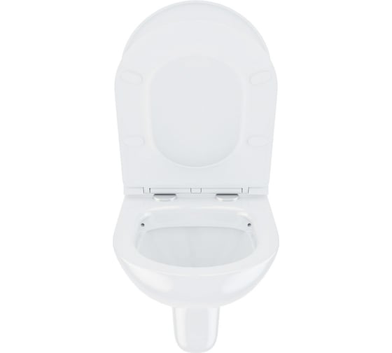 Подвесной безободковый унитаз IDDIS Zodiac ZDCRDSEi25