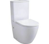 Чаша напольного унитаза AVIMANO Emotion 1011030