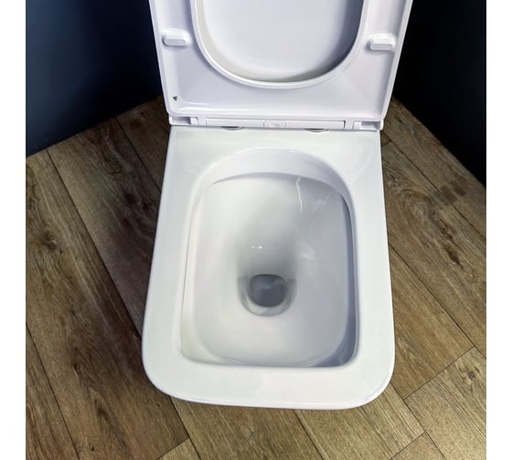 Унитаз напольный безободковый Teymi Helmi, сиденье микролифт T40308 ЦБ-00267918