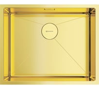 Кухонная мойка Omoikiri Taki 54-U/IF-LG нержавеющая сталь/светлое золото 4973093