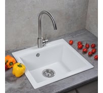 Кухонная мойка Reflexion home Mini прямоугольная, 500x460 мм, белый RX1150WH