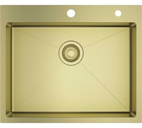 Мойка профессиональная кухонная RAGLO золотой сатин R701.6050.03