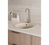 Мойка для кухни Teymi D48 круглая бежевая матовая Lina Smart T120106 ЦБ-00266885 ЦБ-00266886