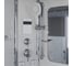 Душевая кабина Niagara NG-309-01 100x100x220 поддон 48см, 4 места 3090164 (324169) 00324169 9
