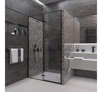 Душевая дверь Veconi Vianno VN-73B, 800x1950, черный, стекло прозрачное VN73B-80-01-C4