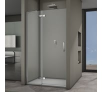 Душевая дверь Veconi Vianno VN-64, 1000x1950, хром, стекло прозрачное VN64-100-01-19C3