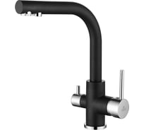 Смеситель для кухни Paulmark ESSEN, черный,  Es213011-BLM