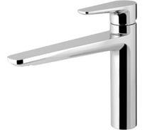 Смеситель для кухни AM.PM F5000000