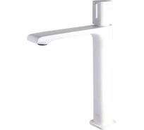 Смеситель для раковины Maxonor PURE LIFE PL1189-8