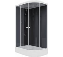 Душевая кабина Parly CM121L 120x80см высокий поддон, профиль белый, стекло тонированное 7860