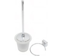 Держатель с туалетным ершом с крышкой FBS матовый хрусталь; хром ESP 057