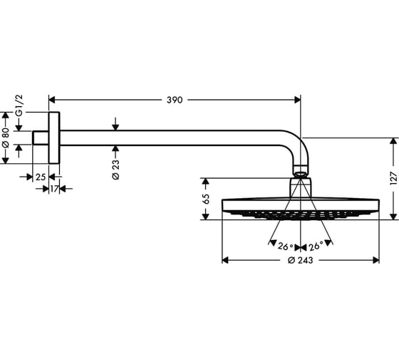 Верхний душ HANSGROHE 26466400 Raindance Select S 240 2jet 00000031144