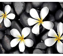 Штора для ванной Zalel фотопринт, 180x200, цветы, без колец z-003 553276