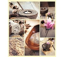 Штора для ванной Zalel фотопринт, 180x200, спа, с кольцами swc-90-29 553269