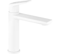 Смеситель для раковины Wellsee ICON! for life 182305000