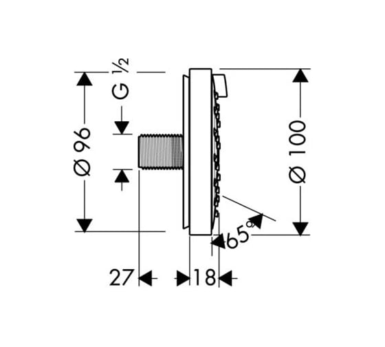 Боковая форсунка HANSGROHE 28477000 Raindance AIR 100 00000008036