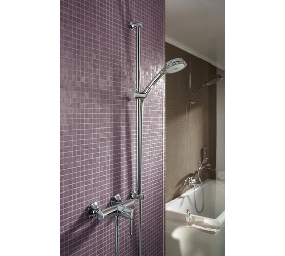 Ручной душ HANSGROHE 28539000 Croma Classic 100 Multi 00000008066