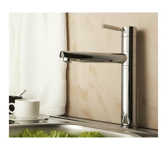 Смеситель для кухни WasserKRAFT Main 4107