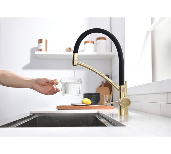 Смеситель для кухни Paulmark SIEGEN, бронза Si213111-BR