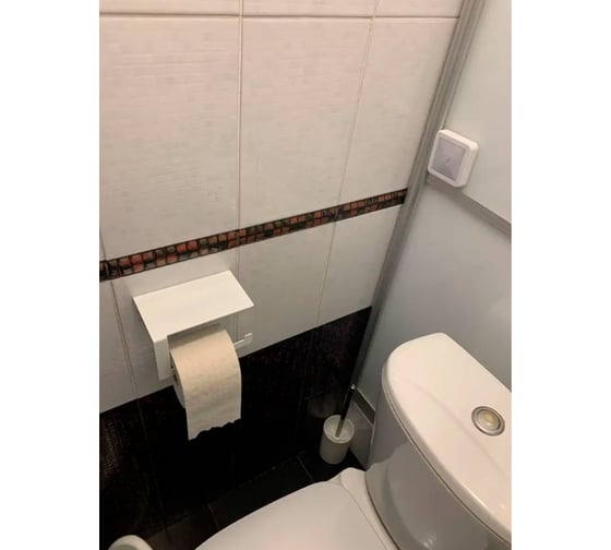 Держатель для туалетной бумаги ГеоПластБорд с полочкой, 16x10.5x9.5 см, левый, цвет белый D01-01WL