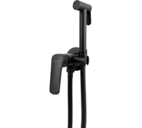 Комплект для гигиенического душа Aquatek встроенный aq1019mb вега 00000129554