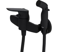 Смеситель с гигиеническим душем Damixa Jupiterчёрный 778000300