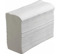 Листовые полотенца ACG Z-сложение "Эконом" 2 слоя, макулатура 22x22 см, 200 л/пачке, 20 пачек 1020937