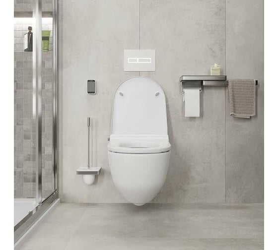 Набор для WC Axor Universal Accessories настенный монтаж 42835000 00041130