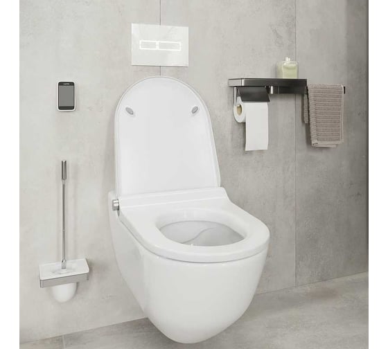 Набор для WC Axor Universal Accessories настенный монтаж 42835000 00041130