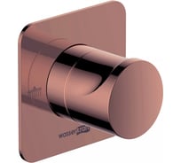 Переключатель на 2 выхода WasserKraft A287