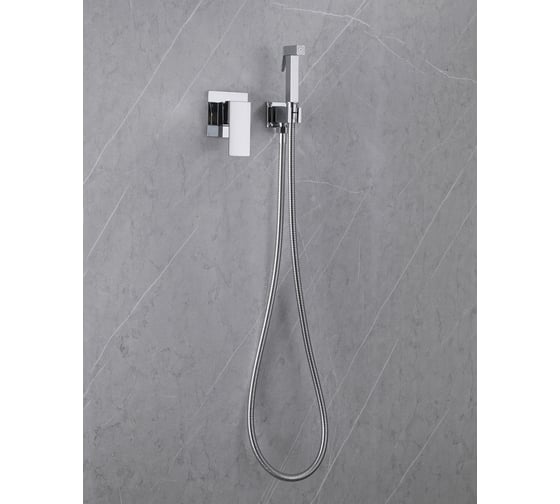 Смеситель с гигиеническим душем ABBER Daheim хром AF8225