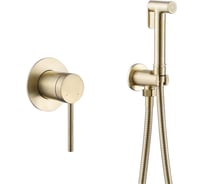 Смеситель с гигиеническим душем ABBER Emotion золото матовое AF8825G