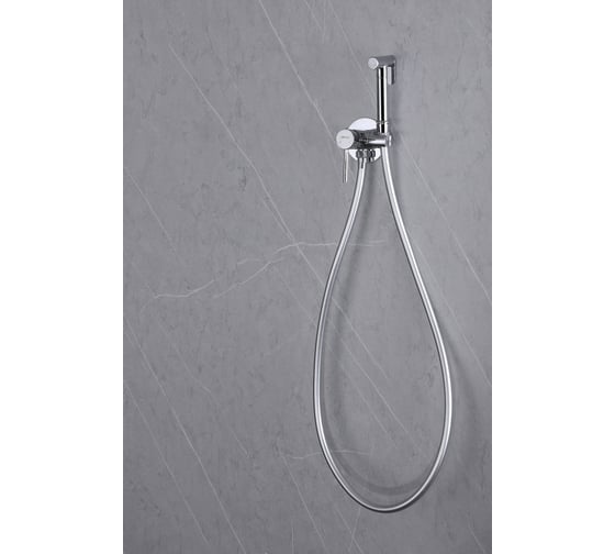 Смеситель с гигиеническим душем ABBER Wasser Kreis хром AF8125