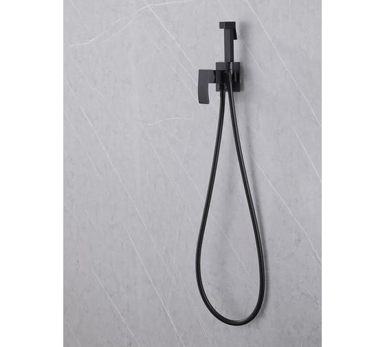 Смеситель с гигиеническим душем ABBER Wasserfall черный матовый AF8625B