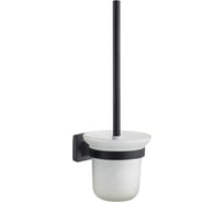 Ерш Delphinium 4107в черный матовый 102438
