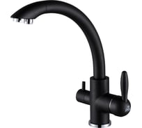 Смеситель для кухни Paulmark ESSEN, черный,  Es213001-BLM