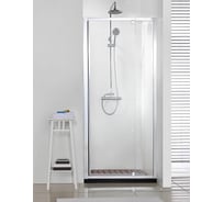 Душевая дверь Bravat 00-00249579 BD100.4112A