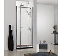 Душевая дверь Bravat Drop BD100.4110A 00-00248762