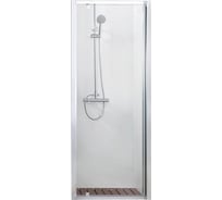 Душевая дверь в нишу Bravat Line 100x200 см, распашная 00-00005140