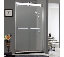 Душевая дверь в нишу Bravat Stream 120x200 см, двойная 00-00005142