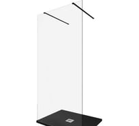 Душевая перегородка ALLEN BRAU INFINITY 2, 8мм, 1000(990мм) прозрачная, черный браш 3.21039.BBA 00323831