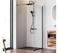 Душевая перегородка AM.PM Func 80x200, стекло прозр. 8 мм + покрытие, профиль черный W84WI-80-F1-BTE