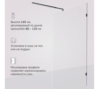 Душевая перегородка AM.PM X-Joy 120x195, стекло прозр. 6 мм + покрытие, фурнитура черный W94WI-120-F1-BTE
