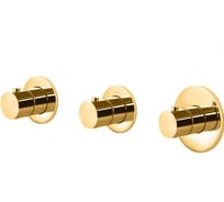 Внешняя часть смесителя термостат Paffoni MODULAR BOX золото медовое брашир MDE018HGSP