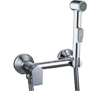 Смеситель с гигиеническим душем GROSS AQUA Bidet настенный GA012201C