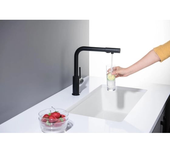 Смеситель для кухни Aquatek ЕВРОПА с подключением к фильтру питьевой воды, матовый черный AQ1386MB 00000135197