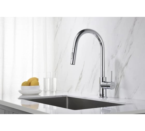Смеситель для кухни Aquatek ЕВРОПА с вытяжным изливом 2 jet AQ1384CR 00000135188
