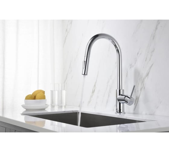Смеситель для кухни Aquatek ЕВРОПА с вытяжным изливом 2 jet AQ1384CR 00000135188