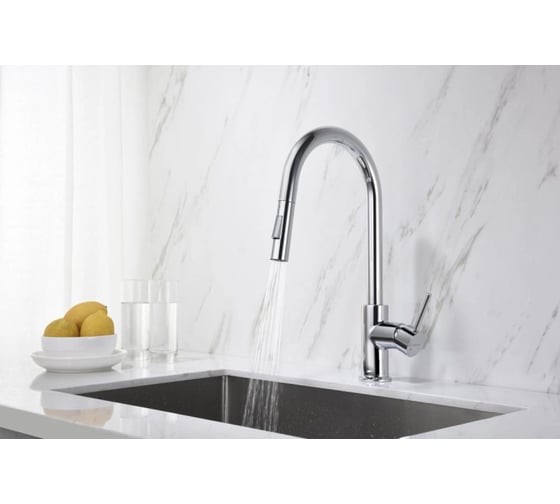 Смеситель для кухни Aquatek ЕВРОПА с вытяжным изливом 2 jet AQ1384CR 00000135188